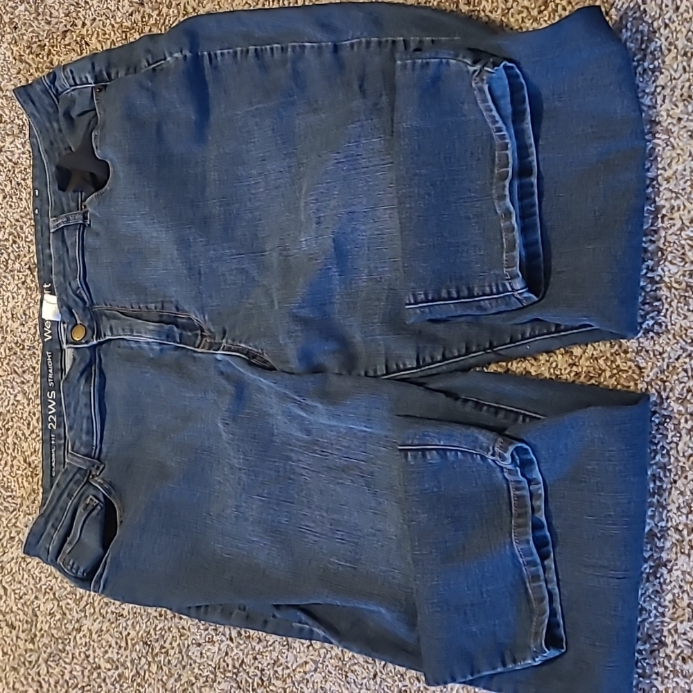 Women's Blue Jeans, Straight, 22W